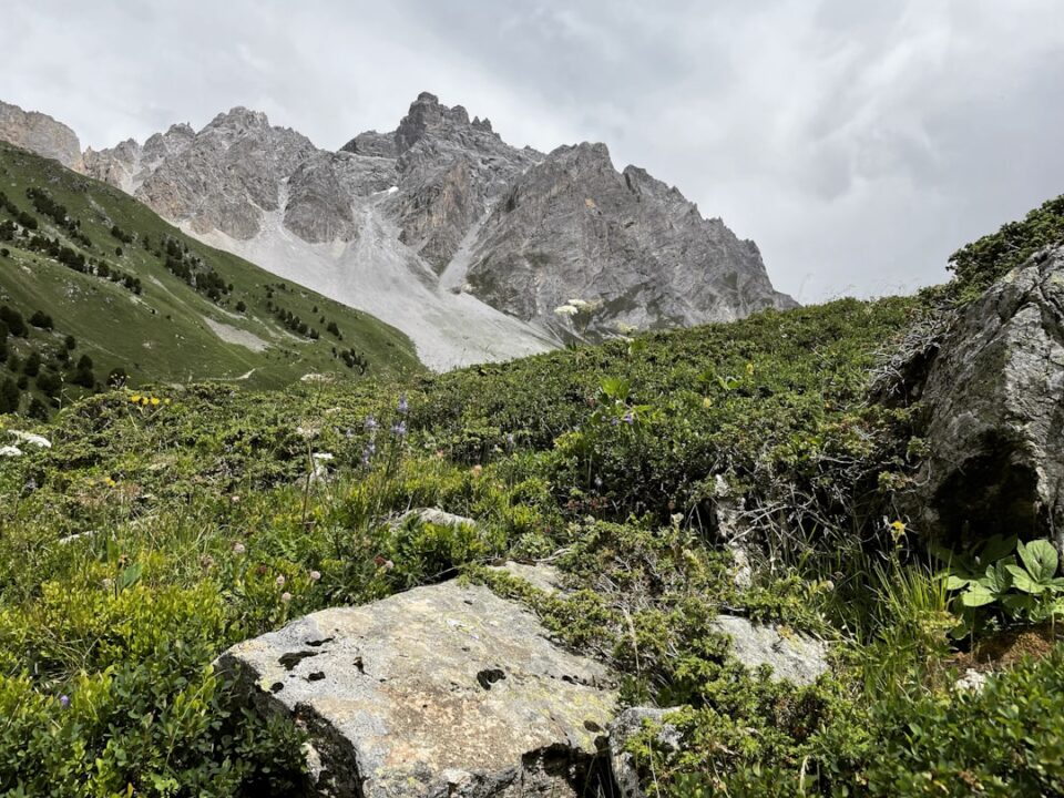 découvrez les vins de savoie, une région viticole méconnue mais riche en saveurs et en terroirs uniques. explorez nos sélections de blancs, rouges et rosés, ainsi que les traditions viticoles qui font de ces crus des expériences inoubliables.